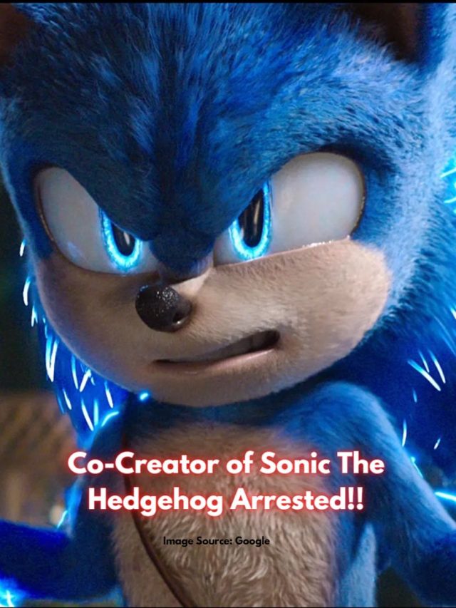 Co-Creator of Sonic the Hedgehog Arrested!!